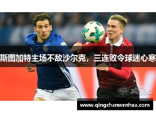 斯图加特主场不敌沙尔克，三连败令球迷心寒